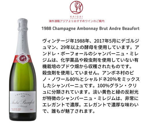 1988 Champagne Ambonnay Brut Andre Beaufort
